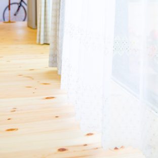 一枚板　針葉樹と広葉樹について