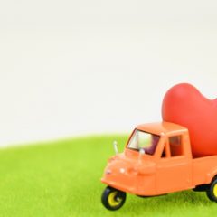 一枚板　樹種の選び方