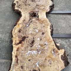 一枚板　ポプラについて