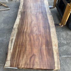 一枚板　モンキーポットについて