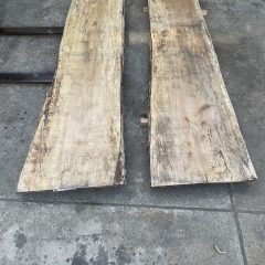 一枚板　メープルについて