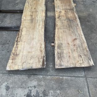 一枚板　メープルについて