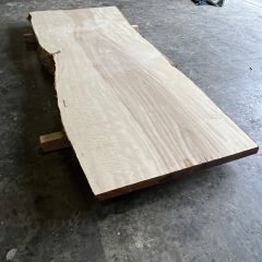 一枚板　新着情報（栃）