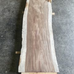 一枚板　新着情報（モンキーポッド）