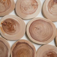 一枚板専門店　木の年輪について