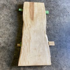 一枚板　新着情報（栃）